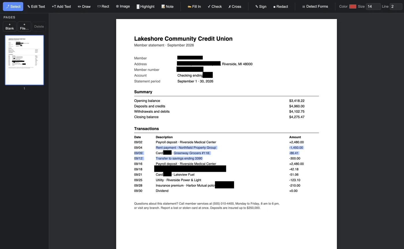 The saved statement: the redacted areas solid black, and three transaction lines selected as live text
